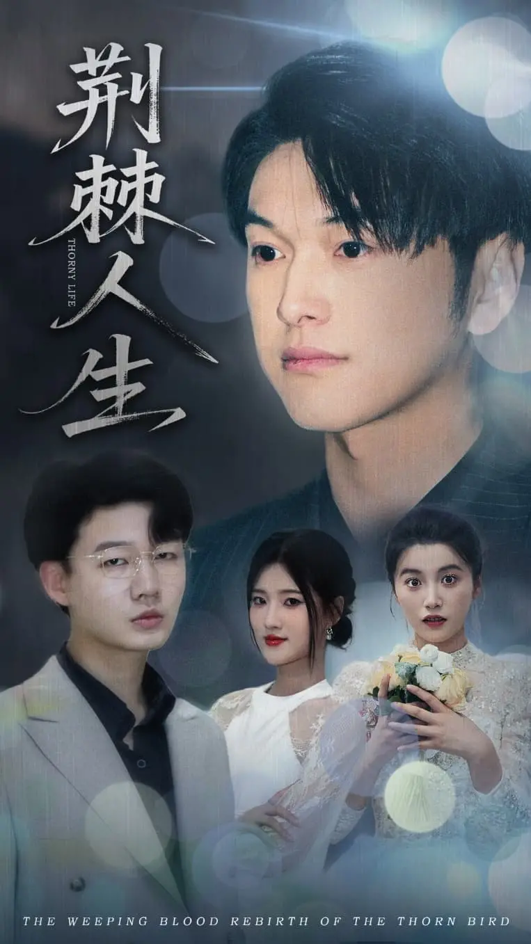 《荆棘人生》：残酷与希望交织，底层逆袭的真实写照，音乐能否救赎灵魂？